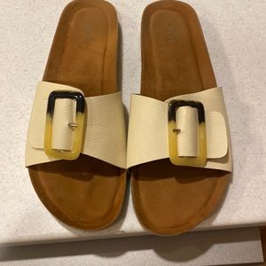 CREVO Slides